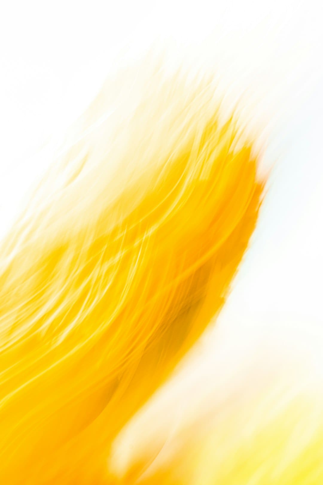 http://upload.mnw.cn/2025/0827/1756292823233.jpg